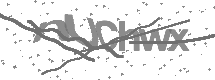 visual captcha